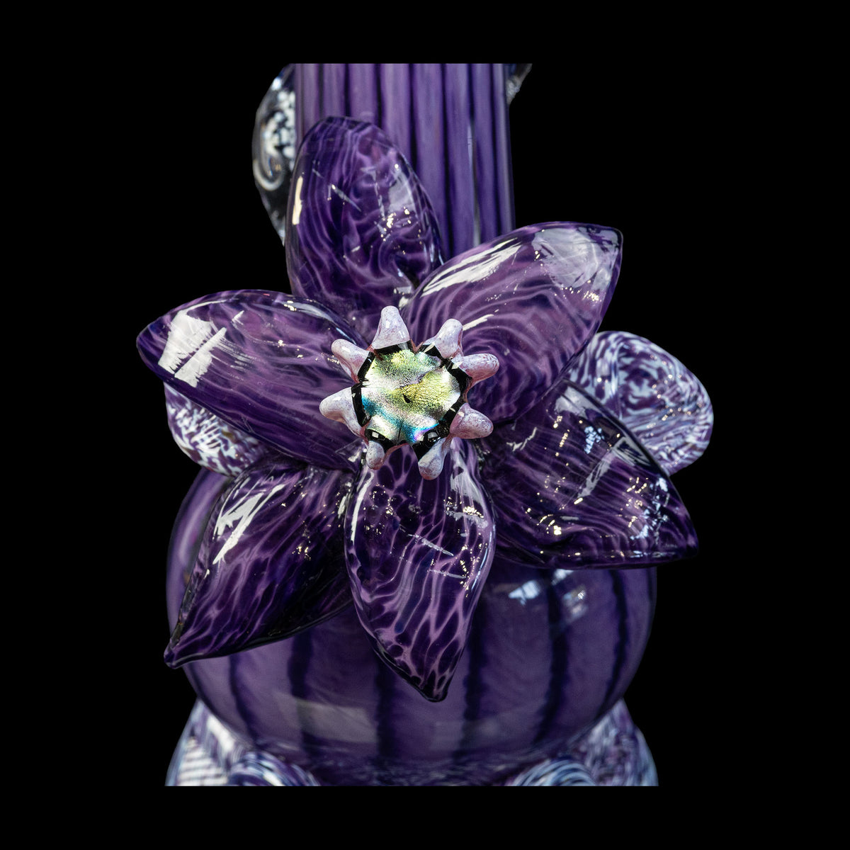 Hyacinth Lily