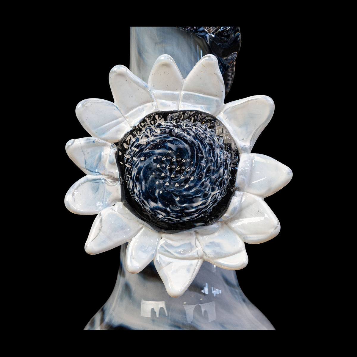Snowpiercer Sunflower
