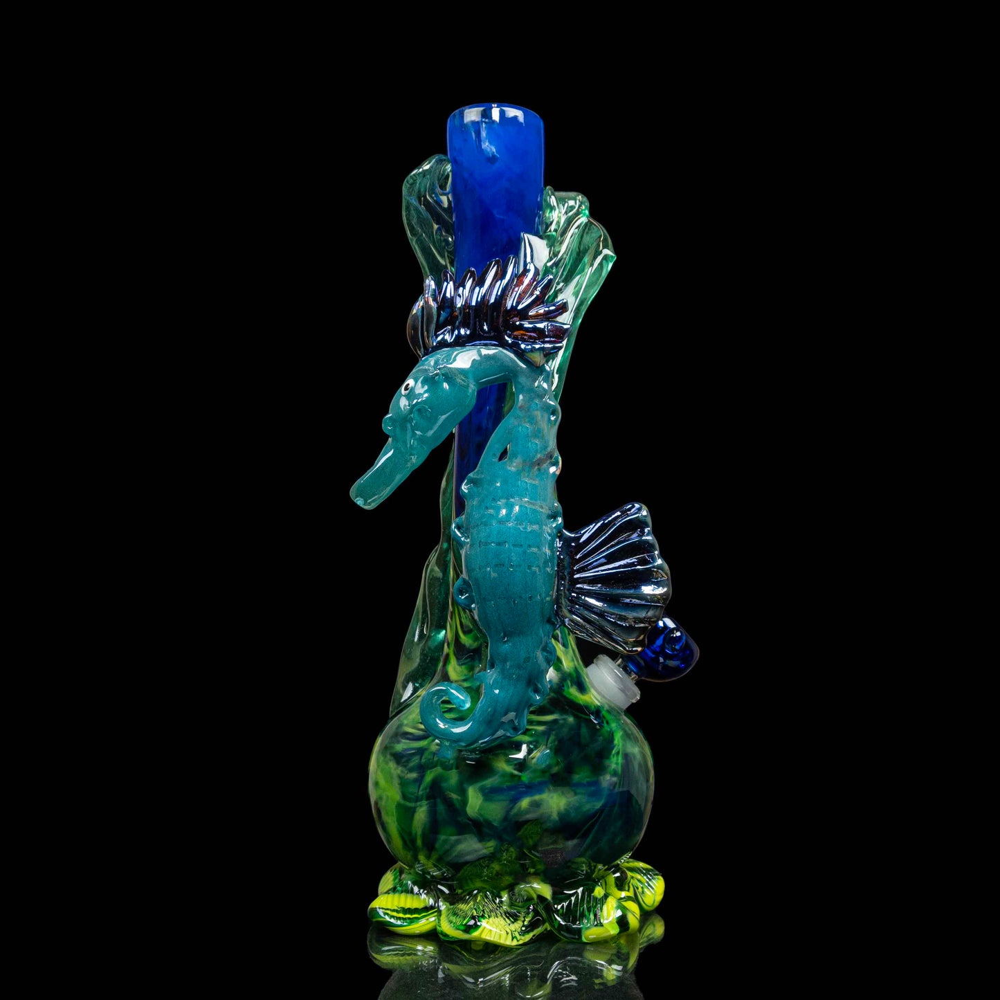 The Elusive Seahorse