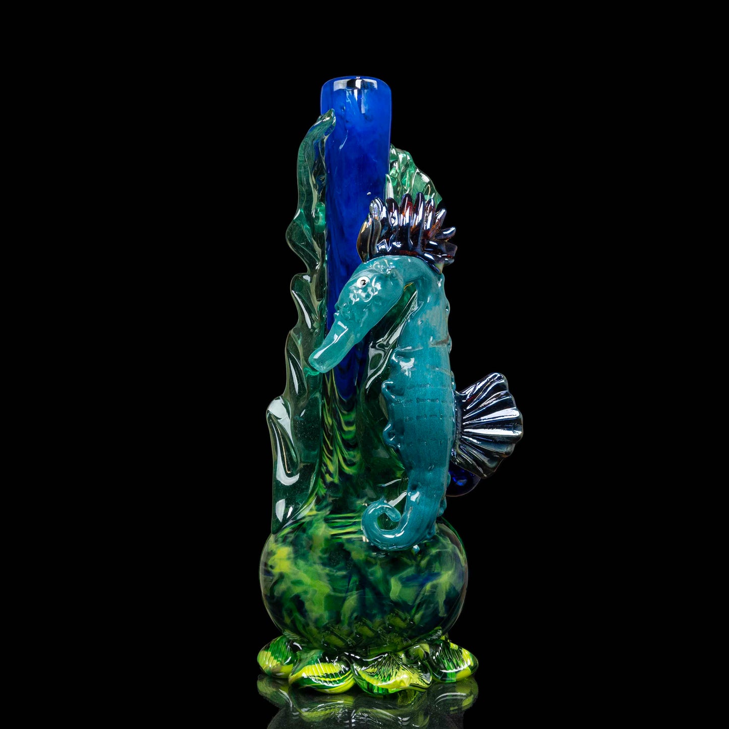 The Elusive Seahorse