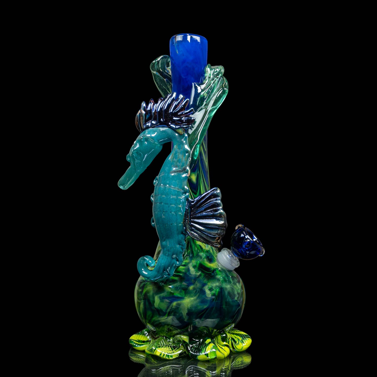 The Elusive Seahorse
