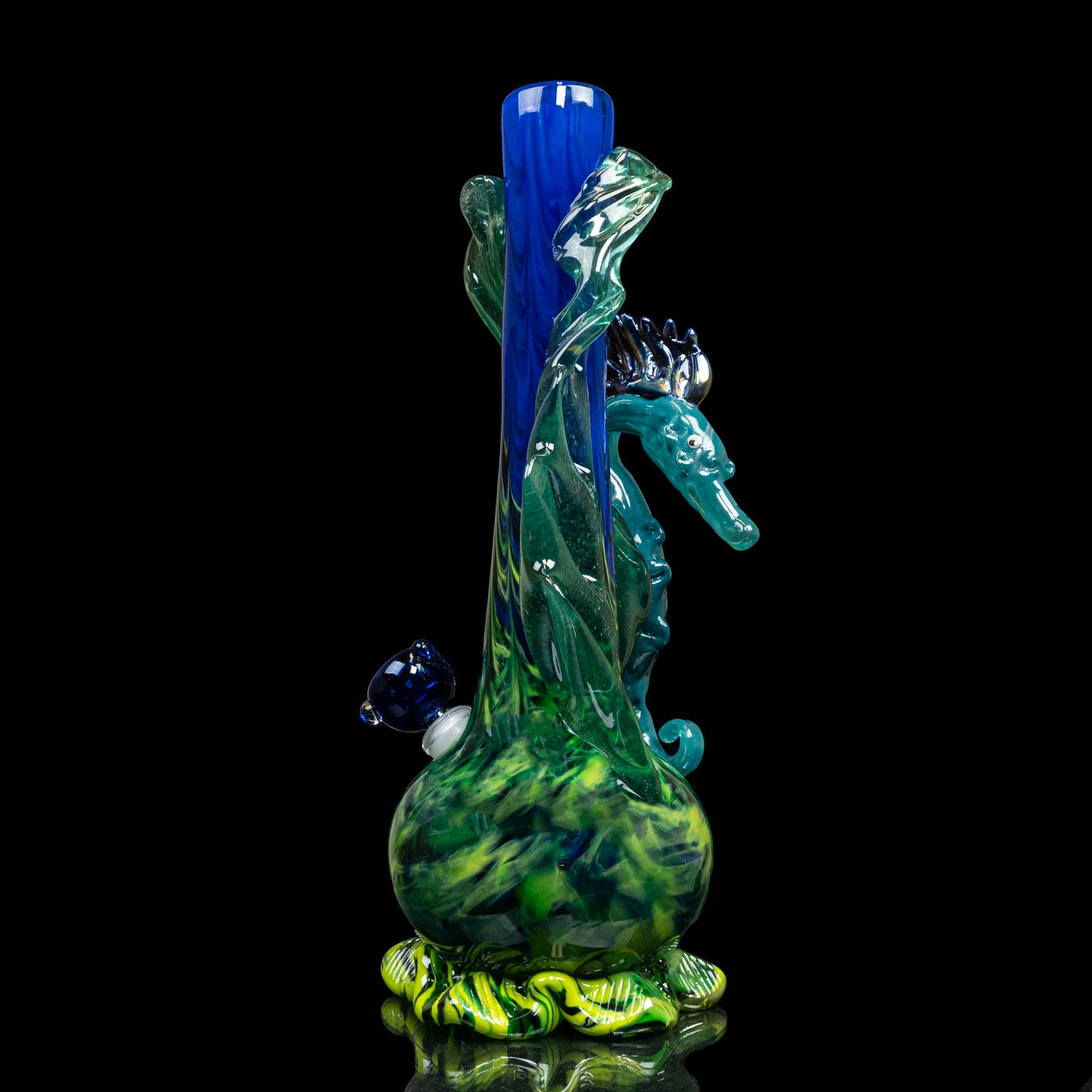 The Elusive Seahorse