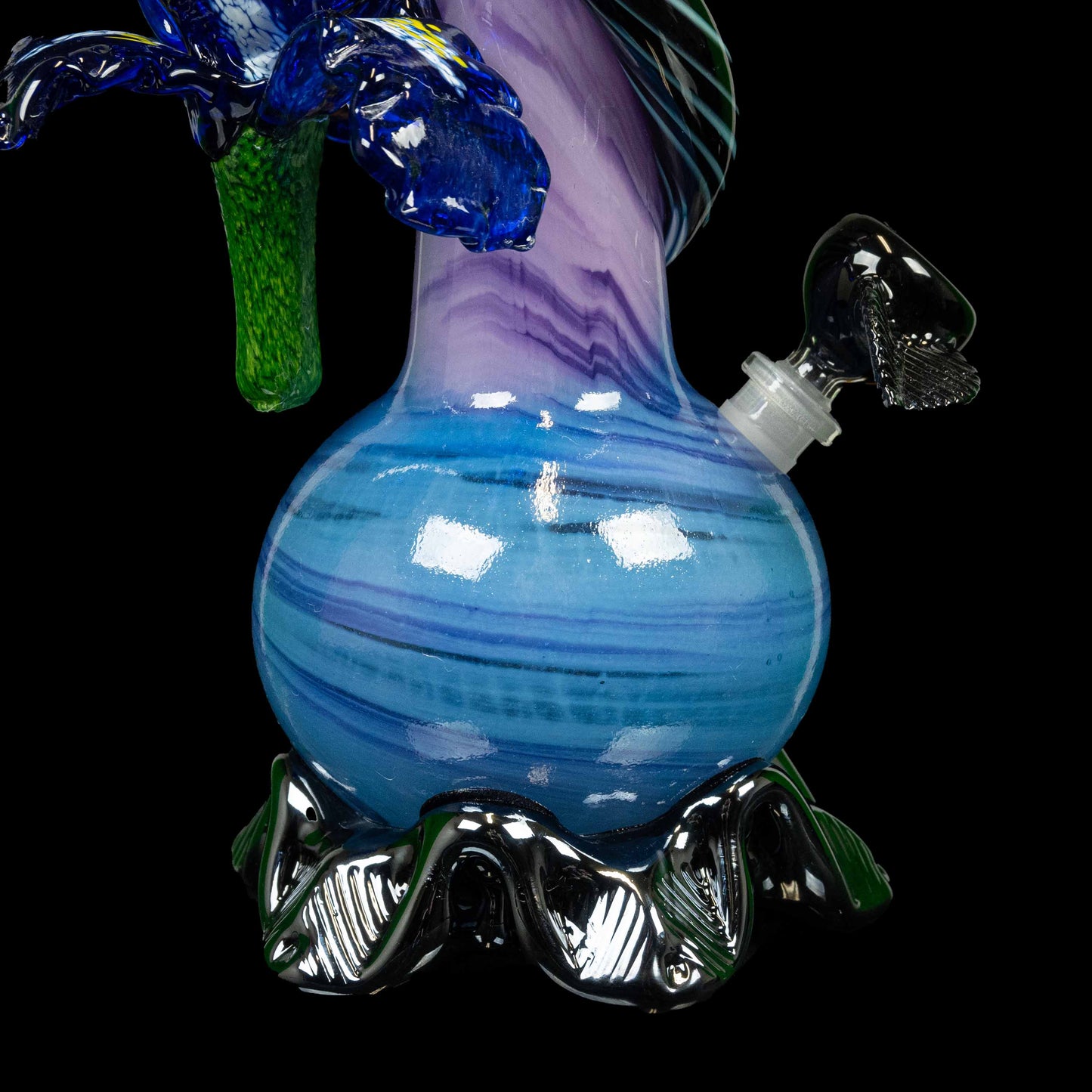 Enticing Iris