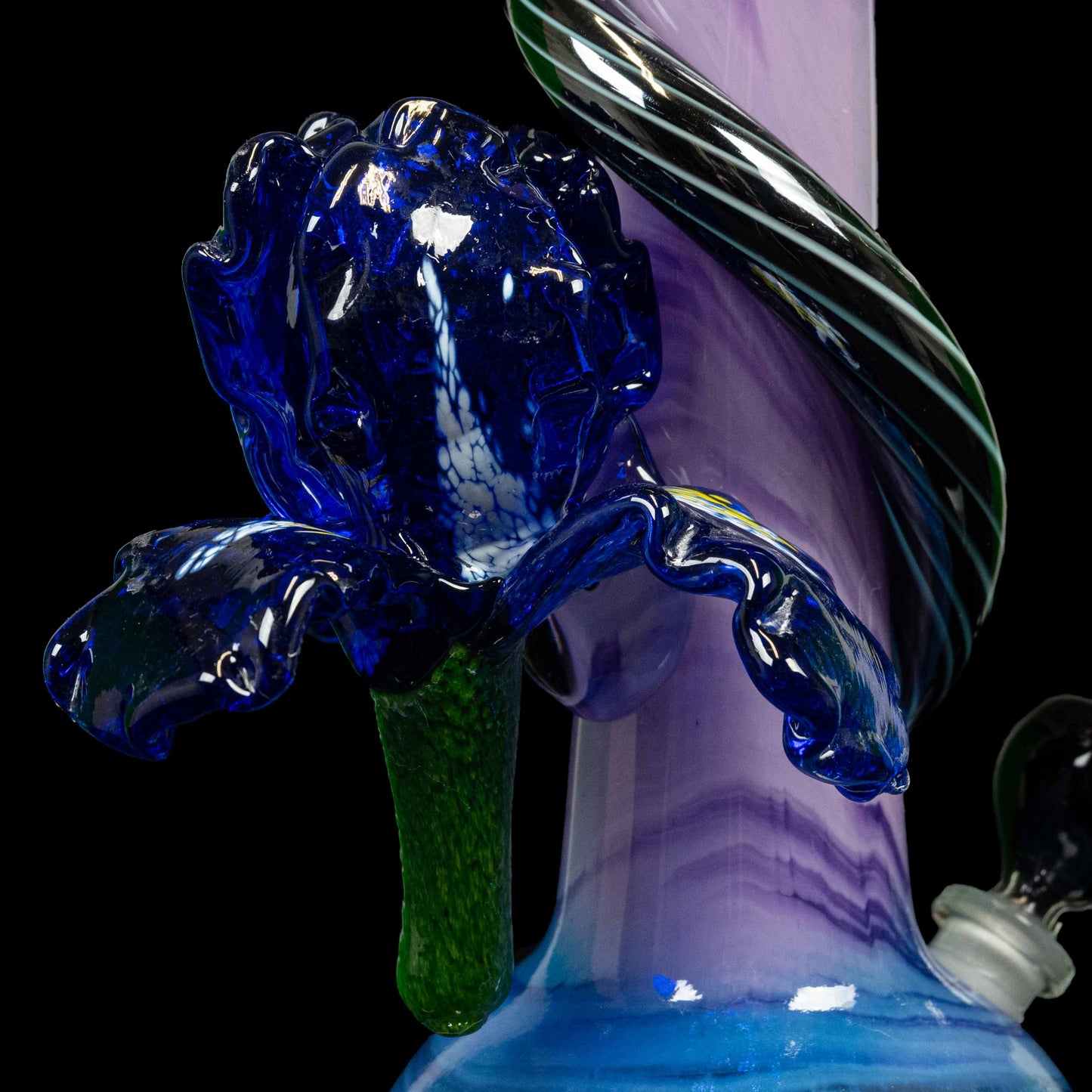 Enticing Iris