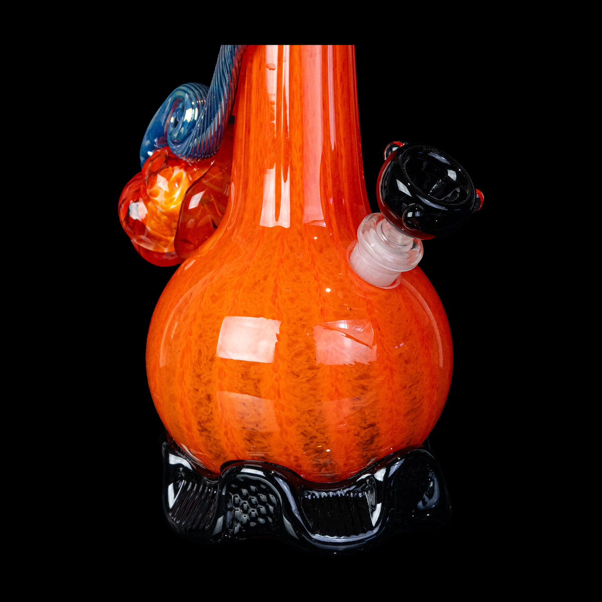 Silver Stem Pumpkin