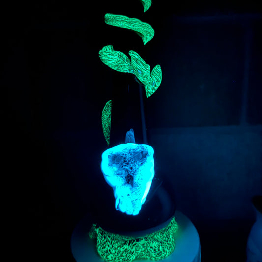 Grave Robber Glow